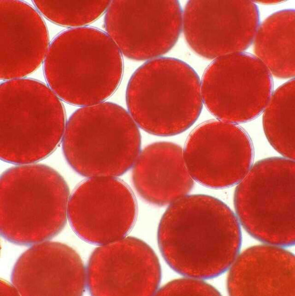 Astaxanthin and Its Promising Health Benefits