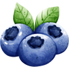 Blueberry