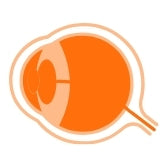 EYES
