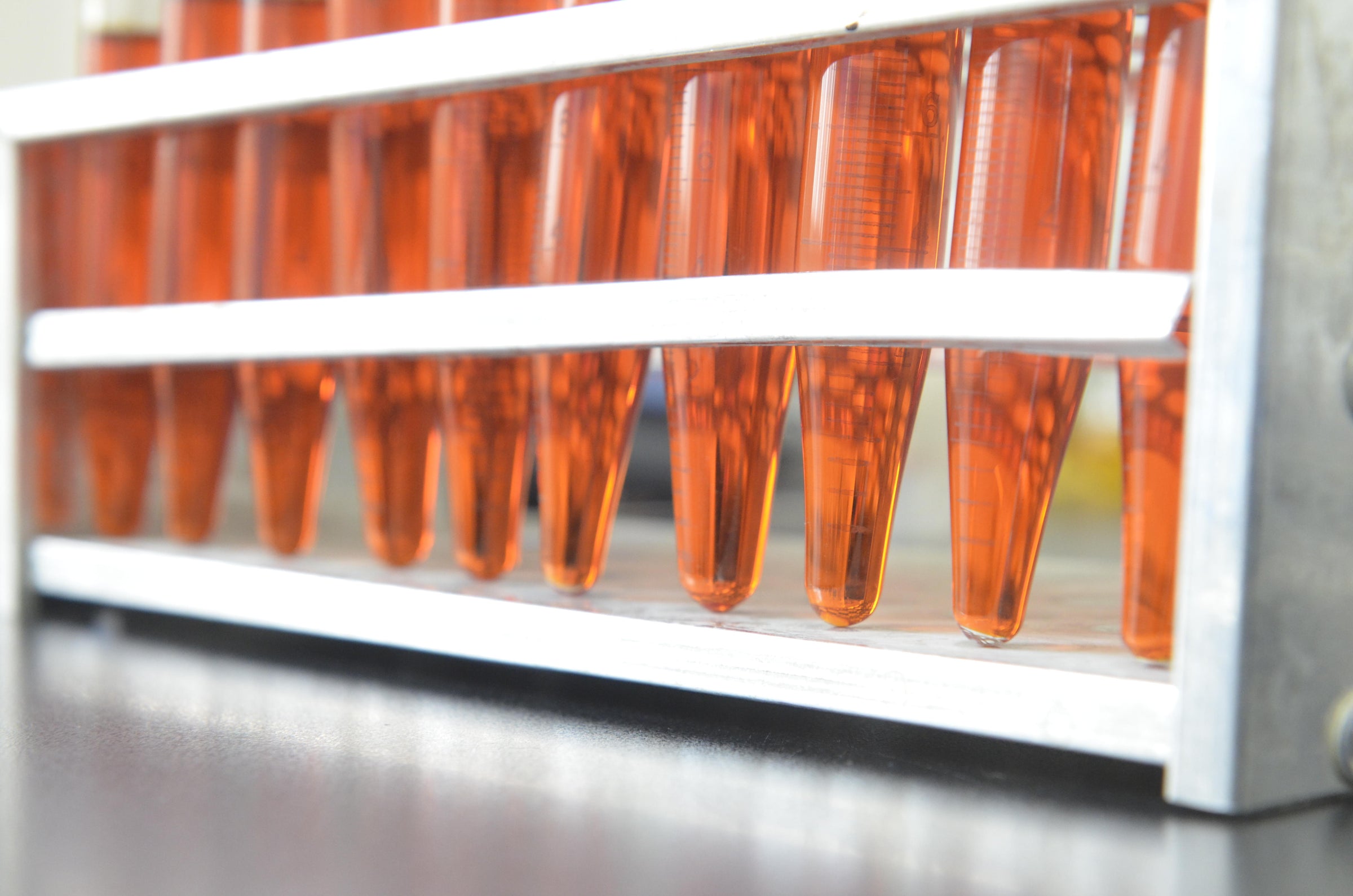 Laboratory test tubes with astaxanthin showing good antioxidant supplement and astaxanthin benefits